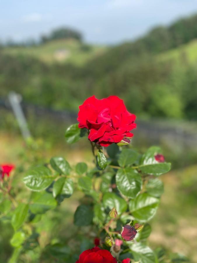 Trautenburg Stub'N Leutschach Esterno foto