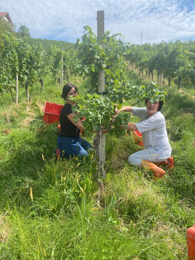 Trautenburg Stub'N Leutschach Esterno foto