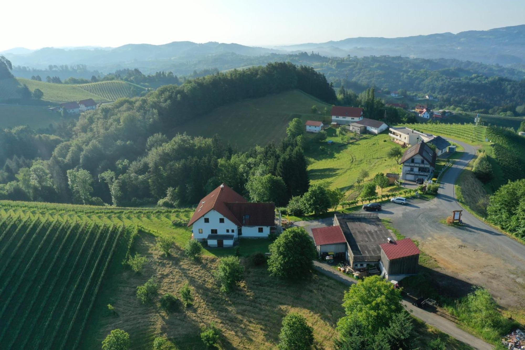 Trautenburg Stub'N Leutschach Esterno foto